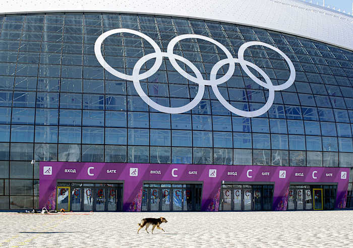 sochi-olympics-stray-dogs-39de3b3b8bd2472b8bb8b65f384a89ec-0.jpg